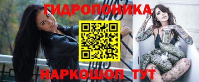 apvp Гусев