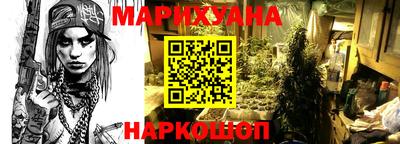 apvp Гусев