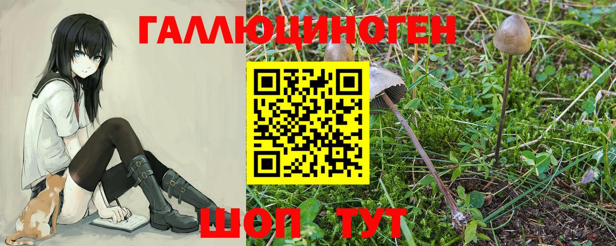 Галлюциногенные грибы Cubensis Менделеевск